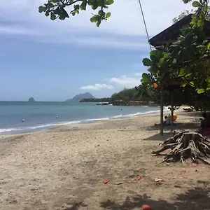 https://le-studio-du-manguier.comcaribbean.com
